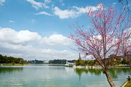 Da Lat fue admitida como miembro de la Organización para la Promoción del Turismo Asia-Pacífico