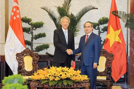 Desea Ciudad Ho Chi Minh colaborar con Singapur en construcción de urbe inteligente