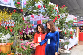 Intensifican Vietnam, Laos y Camboya intercambios en producción agrícola limpia 