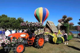 Nutrida participación en Festival de Flores de Da Lat 2019