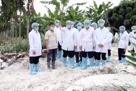 Pide en Vietnam ofrecer asistencia a agricultores afectados por la peste porcina africana