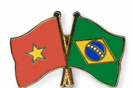 Vietnam celebra aniversario 30 de relaciones con Brasil 