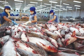 Suben las exportaciones del pescado Tra vietnamita a Malasia
