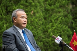  Vietnam participará activamente en Cumbre del G20 en Japón, destaca embajador 