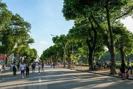 Organizan en Vietnam actividades por el Día Mundial de Medio Ambiente 