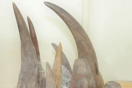 Exhortan a reforzar lucha contra contrabando de animales silvestres en Vietnam