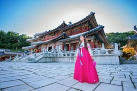 Promueven en Vietnam la cultura y el turismo de Corea del Sur