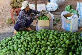 Promueve Vietnam exportación de sus aguacates a Estados Unidos