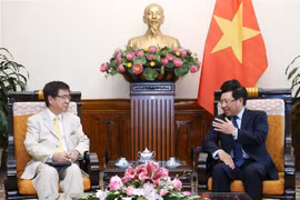 Destaca vicepremier de Vietnam relaciones con Japón 