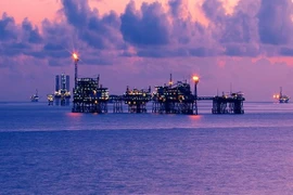 Ampliará provincia vietnamita de Ba Ria-Vung Tau cooperación con Rusia 