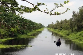 Recibe Vietnam casi ocho millones 500 mil turistas extranjeros en la primera mitad de 2019