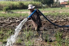 Ahorran fábricas en Vietnam millones de dólares por uso efectivo de recursos naturales
