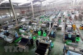 Destacan potencial de cooperación económica y comercial entre Vietnam y Japón 