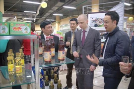 Promueven provincia vietnamita de Thanh Hoa y localidades rusas cooperación económica 