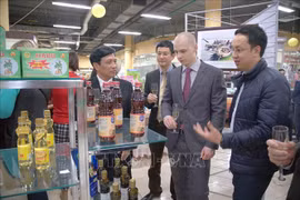 Promueven provincia vietnamita de Thanh Hoa y localidades rusas cooperación económica 