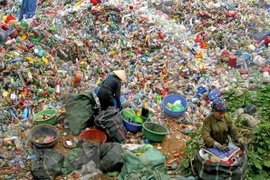  Muestran empresas de la India interés en cooperar con Vietnam 