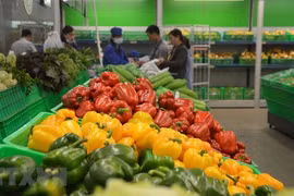 China, mayor importador de frutas y verduras de Vietnam 