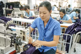 EVFTA - un gran logro que obtiene Vietnam, según expertos