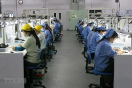 Pronostican que crecimiento económico de Vietnam oscilará entre 6,5 y 6,8 por ciento en 2019 