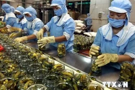 Exportaciones de frutas y verduras de Vietnam caen un 5,8 por ciento en ocho meses