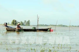 Asiste instituto alemán a Vietnam en gestión de recursos hídricos 