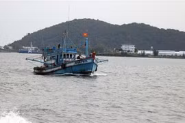 Vietnam en buen camino para eliminar tarjeta amarilla de la UE