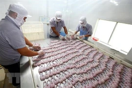 Reducen exportaciones de productos acuáticos de Vietnam