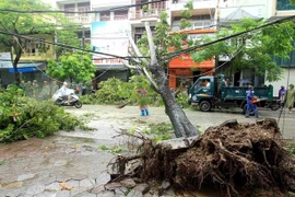 Premier de Vietnam urge a implementar medidas para superar secuelas del tifón Wipha