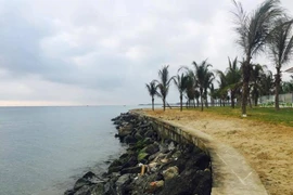 Colaboran Países Bajos y Vietnam en la lucha contra la erosión costera