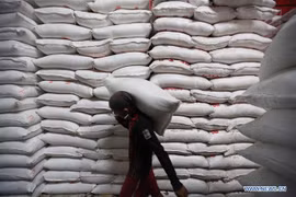Planea Myanmar exportar 100 mil toneladas de arroz a China este año