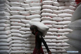 Planea Myanmar exportar 100 mil toneladas de arroz a China este año