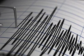 Terremoto de magnitud 7,3 sacude Indonesia