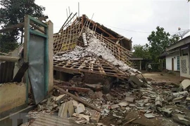 Afecta nuevo terremoto de magnitud 6,1 las costas de Indonesia