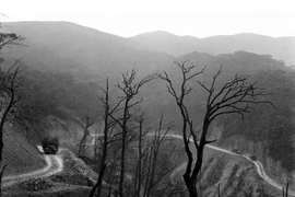 Resaltan significado histórico de la legendaria ruta Ho Chi Minh