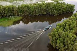 Promueven en Vietnam el turismo verde