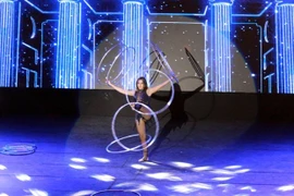 Nutrida participación en Festival Internacional de Circo en ciudad vietnamita de Ha Long