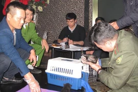 Vietnam rescata a dos ositos tibetanos de contrabando