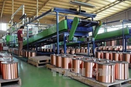 Se redujo en febrero índice de Producción Industrial de Vietnam 