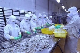 Se recupera exportación de camarones de Vietnam a China