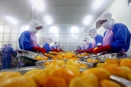 Alcanza Vietnam alto superávit comercial en primeros ocho meses del año