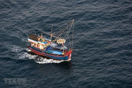 Vietnam avanza en cumplimiento de recomendaciones de Comisión Europea sobre lucha contra IUU