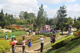 Anuncian en Vietnam celebración del Festival de Flores de Da Lat 