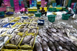  Estados Unidos suspende exención fiscal a algunos productos de Tailandia