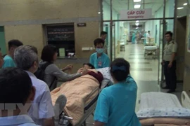 Repatriarán cadáveres de víctimas vietnamitas en atentado en Egipto 