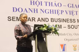 Buscan empresas sudafricanas oportunidad de cooperación con Vietnam