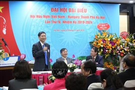 Destacan papel de Asociación de Amistad Vietnam - Hungría para lazos binacionales