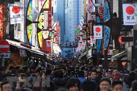 Reportan importante crecimiento del turismo vietnamita en Japón