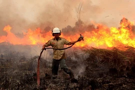 Alto riesgo de incendios forestales en Indonesia