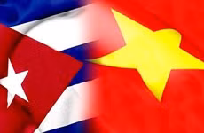 Asociación mantiene vivos vínculos especiales Cuba – Vietnam