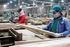 Oportunidades para exportadores vietnamitas en el mercado de Camboya